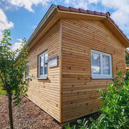 Loßburg Tiny-Ferienhaeusle Casa Wendyヴィラ エクステリア 写真