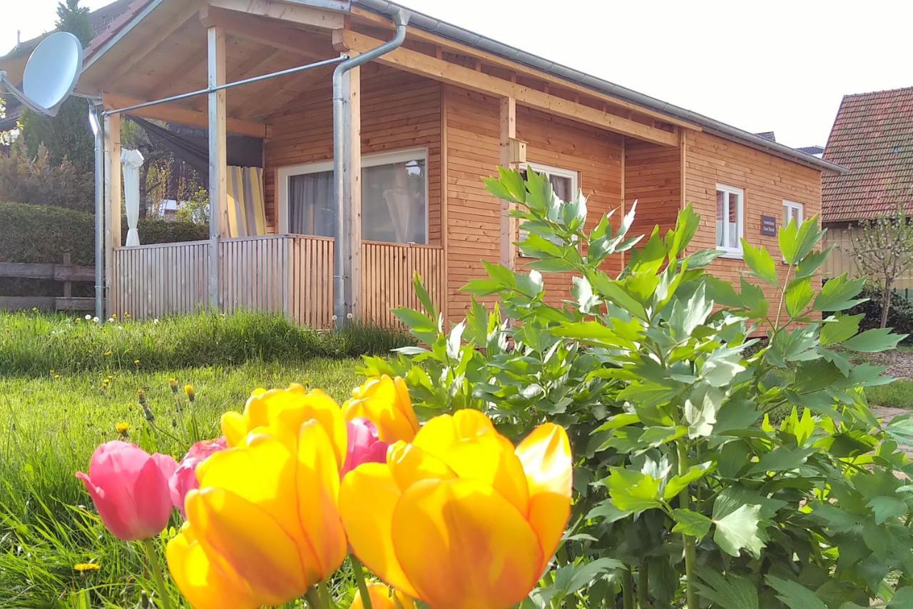 Loßburg Tiny-Ferienhaeusle Casa Wendyヴィラ エクステリア 写真